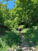 Kinder  Und Familienwanderung012