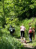 Kinder  Und Familienwanderung014
