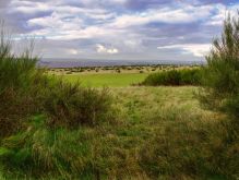 003 Dreiborner Hochfläche