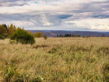 006 Dreiborner Hochfläche