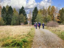 007 Dreiborner Hochfläche