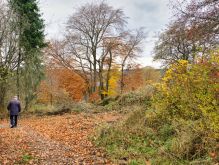 012 Dreiborner Hochfläche