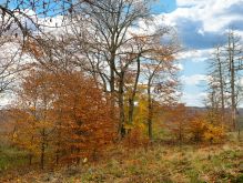 013 Dreiborner Hochfläche