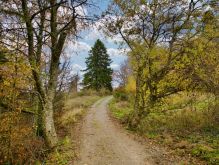 016 Dreiborner Hochfläche