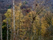 020 Dreiborner Hochfläche