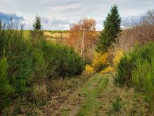 027 Dreiborner Hochfläche