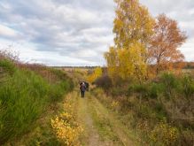 031 Dreiborner Hochfläche