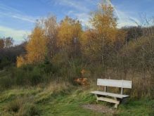 033 Dreiborner Hochfläche