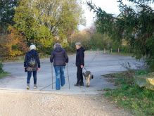 035 Dreiborner Hochfläche