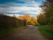 037 Dreiborner Hochfläche