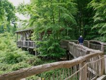 005 Wanderung Im Kermeter