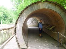 006 Wanderung Im Kermeter