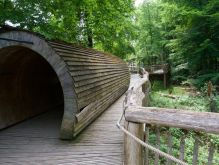 008 Wanderung Im Kermeter