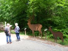 009 Wanderung Im Kermeter