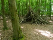 014 Wanderung Im Kermeter