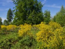 018 Wanderung Im Kermeter