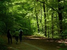 021 Wanderung Im Kermeter