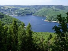 026 Wanderung Im Kermeter