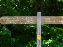 037 Wanderung Im Kermeter