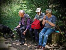 006 Zu Den Katzensteinen Bei Mechernich
