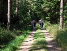 007 Zu Den Katzensteinen Bei Mechernich