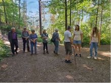 009 Zu Den Katzensteinen Bei Mechernich