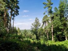 010 Zu Den Katzensteinen Bei Mechernich