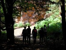 011 Zu Den Katzensteinen Bei Mechernich