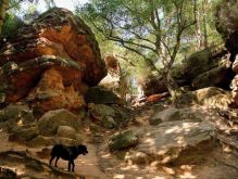 016 Zu Den Katzensteinen Bei Mechernich