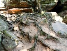 019 Zu Den Katzensteinen Bei Mechernich