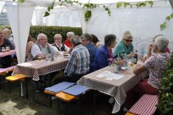  DSC0227 Copy 57b18ffea000a