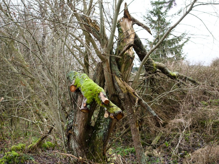 Abschlusswanderung004