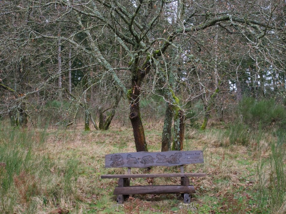 Abschlusswanderung010