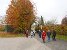 Dreiborn   Patersweiher   Alte Eiche  Berescheider Mühle   Eifel Blick002