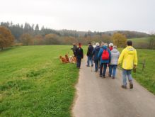 Dreiborn   Patersweiher   Alte Eiche  Berescheider Mühle   Eifel Blick004