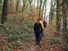 Dreiborn   Patersweiher   Alte Eiche  Berescheider Mühle   Eifel Blick012