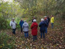 Dreiborn   Patersweiher   Alte Eiche  Berescheider Mühle   Eifel Blick019