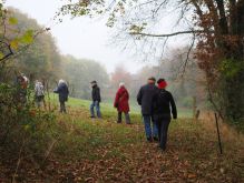Dreiborn   Patersweiher   Alte Eiche  Berescheider Mühle   Eifel Blick027