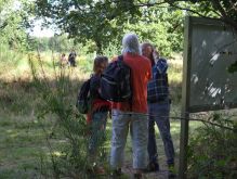Droover Heide024
