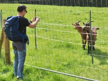 Bereich Reifferscheid012