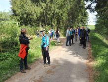 Bereich Reifferscheid013