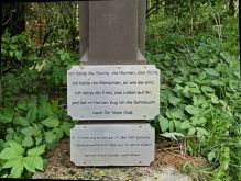 Bereich Reifferscheid017