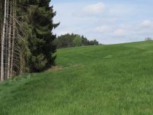 Bereich Reifferscheid027