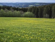 Bereich Reifferscheid057