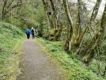 Bereich Reifferscheid075