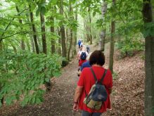 Schmidt   Eschauel   Rurseef024