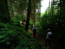 Schmidt   Eschauel   Rurseef032