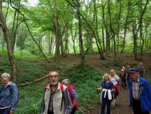 Schmidt   Eschauel   Rurseef038