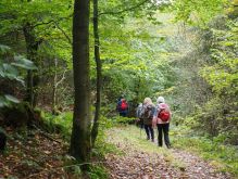 Widdau   Rohrener Höhen033